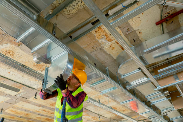 Best HVAC cleaning services  in Zumbrota, MN