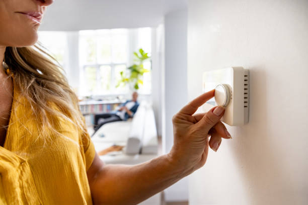 Best Best HVAC companies  in Zumbrota, MN